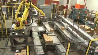 Robots Palletize 4 Production Lines in Multi-Line Robotic Palletizing System - Currie by Brenton®