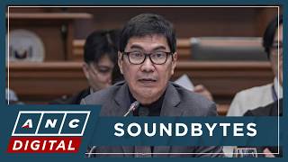 WATCH: Sen. Erwin Tulfo on special session, Gatchalian bloc, Defensor Blue Ribbon hearing claim |ANC