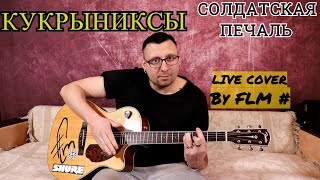Кукрыниксы - Солдатская печаль (Live cover By FLM #)