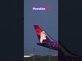 ハワイアン🌺 HAWAIIAN Airlines  A330 (N383HA) HA863 HNL-HND RWY22 Landing #shorts #羽田空港ライブカメラ