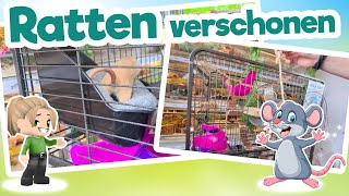 Ratten verschonen Hennep Mat & Plassteen
