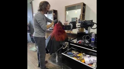 Maurice 2.0 Automated Helper | Hair Dye