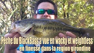 Pêche du Black Bass à vue en wacky et en weightless leurre souple finesse