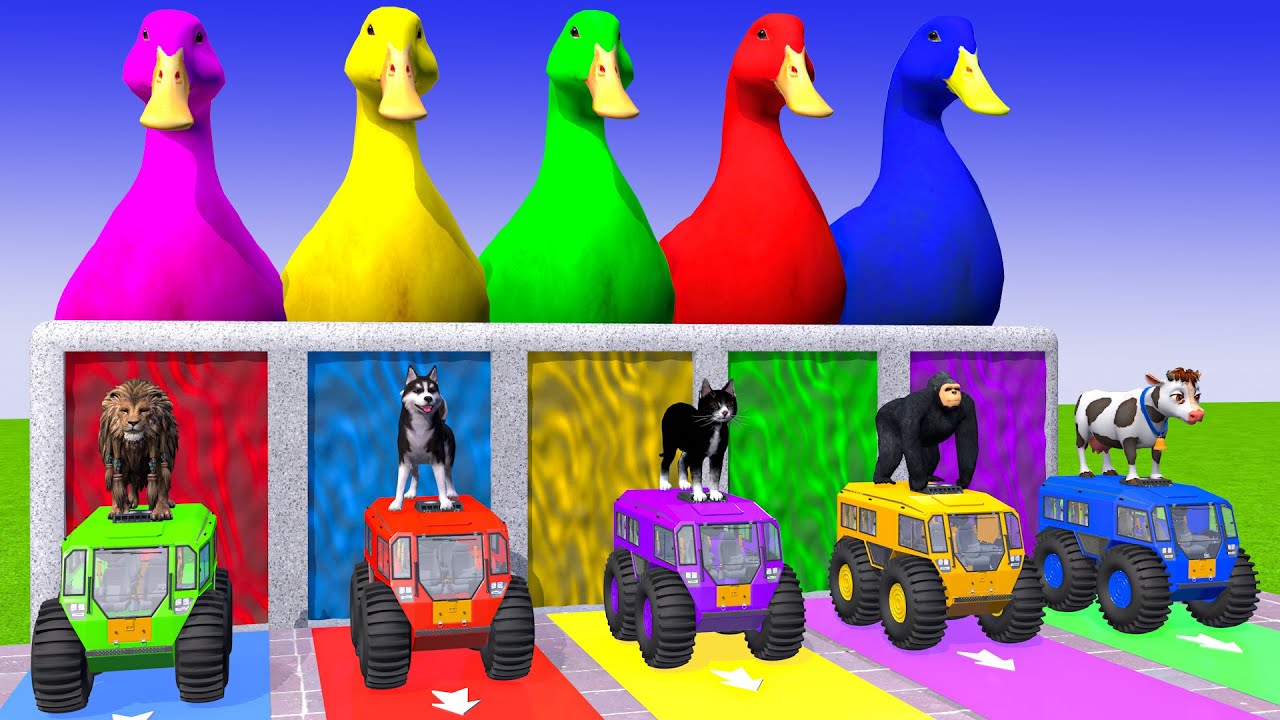 Long Slide Game With Cow Elephant Gorilla Hippopotamus Tiger - 3d Animal Game - Funny 3d Animals