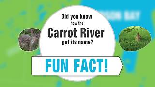 Where is Your Watershed? (Carrot River - Northeastern Saskatchewan)