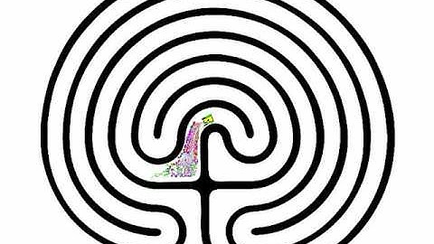 Solving the maze the lineal way