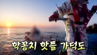 학꽁치 잘 나오는 곳 가서 생긴 일, 가덕도 낚시 포인트 [20250117]