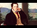 Schubert - Sinfonia n. 5 in si bemolle maggiore D 485 (Allegro)