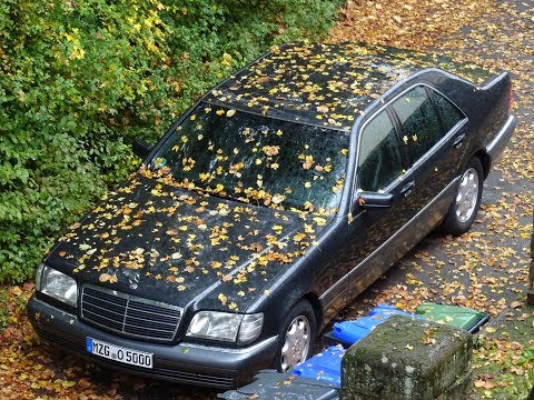 Touran VS  W140. Отчет за неделю. Gena W140.