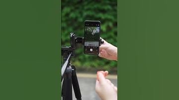 🎬 One Tripod to Shoot Them All! 💥