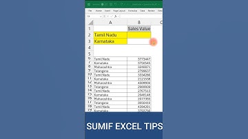 Excel Tips Tricks to Quickly use SUMIF Function #excel #exceltips #exceltricks #shorts #formula
