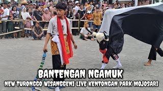 Bantengan  New Turonggo Wisanggeni  Belahan Tengah Mojosari 