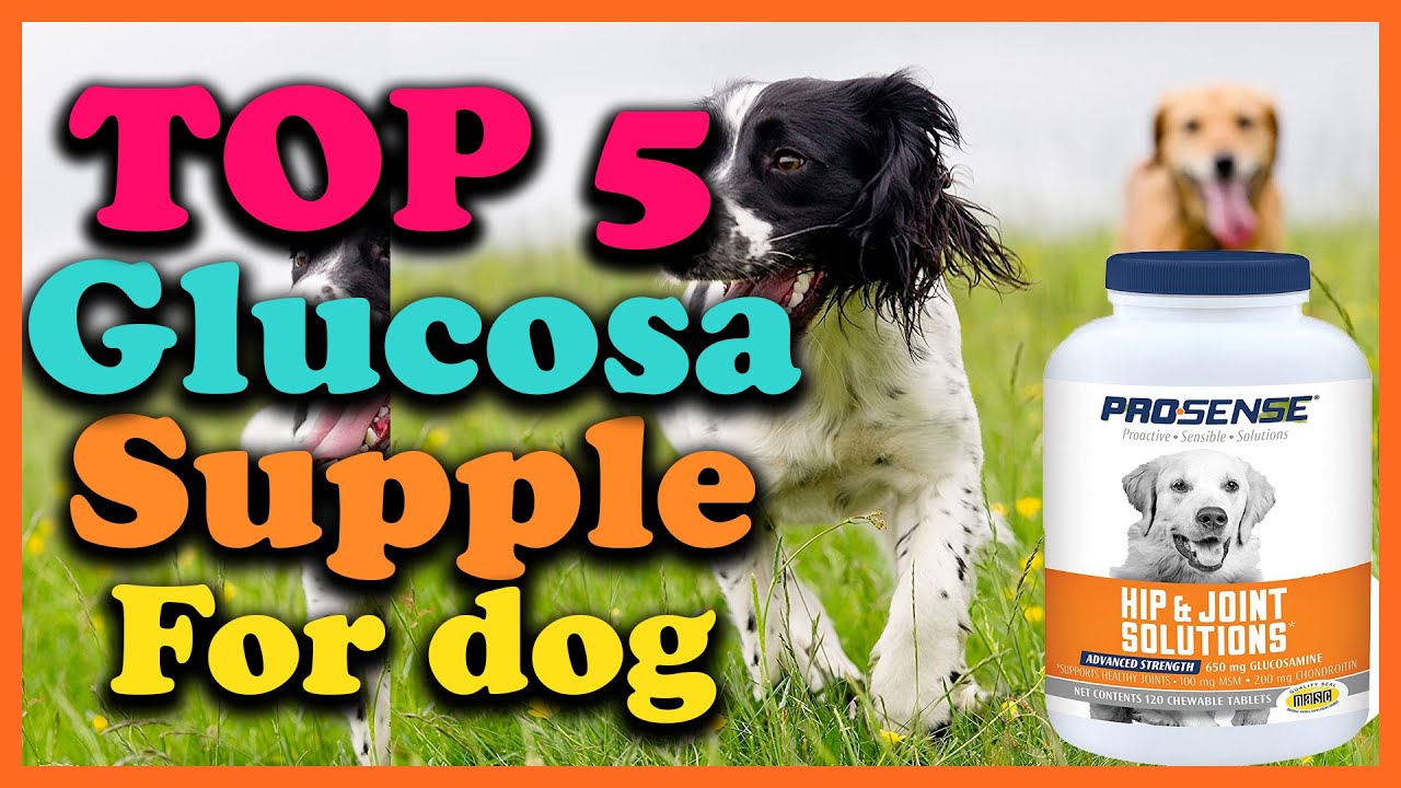 pawlife omega 3 for dogs