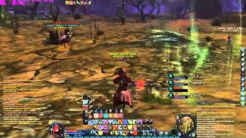 Grinnsan Templar hacker GamezAion