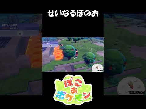 こう、ジュッ ってね【ぽこ あ ポケモン】