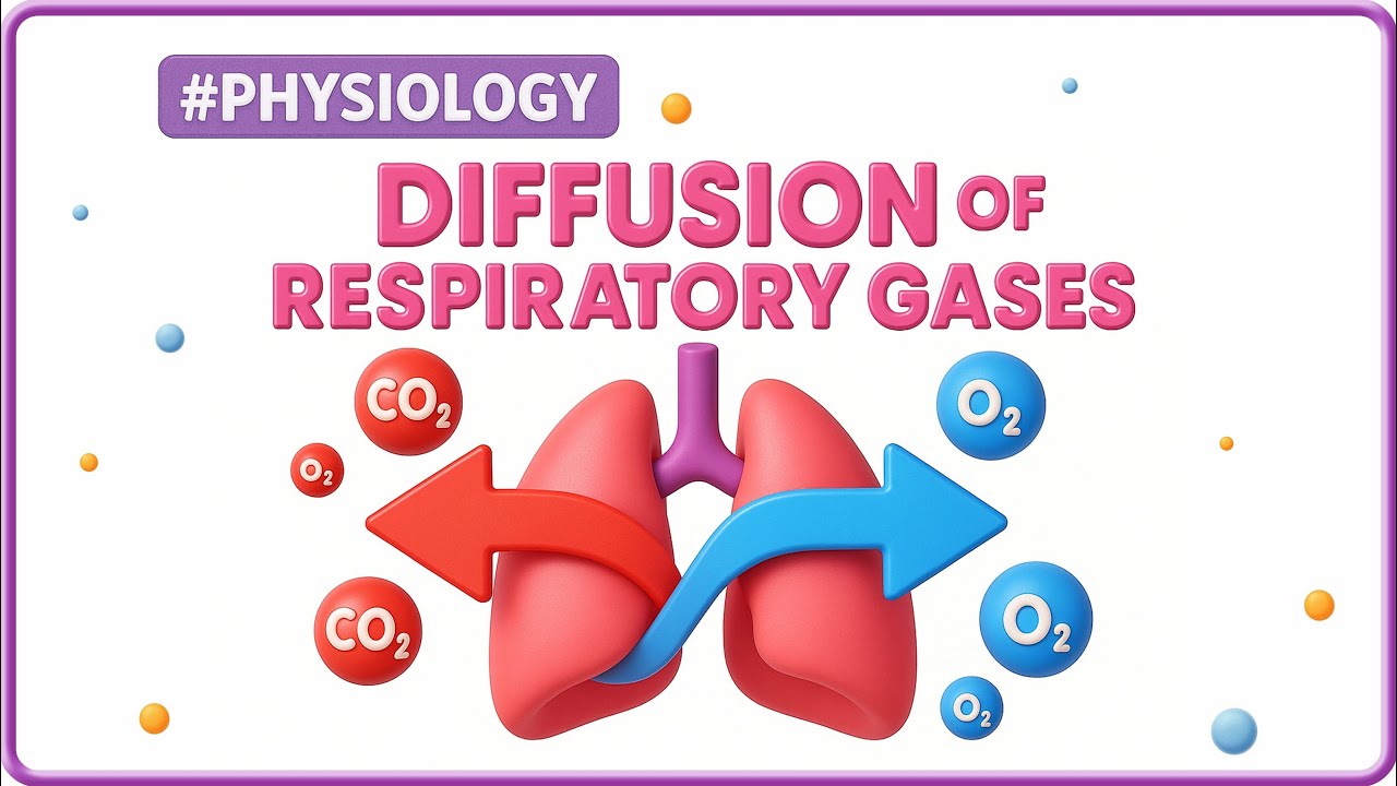 15. Diffusion of Respiratory Gases | Respiratory Physiology | USMLE ...