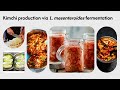 Spring 2026 Homework Video Presentation Compilation