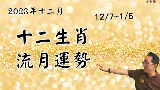 2023十二月 十二生肖12/7~1/5子月流月運勢｜財運事業｜婚姻感情｜身體健康｜十二生肖癸卯年流月運勢-十二月篇