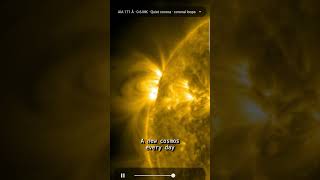 This is the Sun right now — NASA SDO, 24h timelapse #shorts