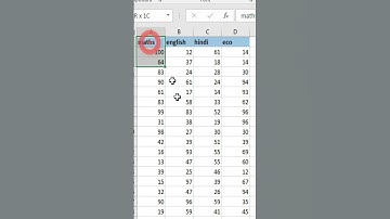 Filter Command in excel
