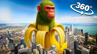 Download Lagu Chimpanzini Bananini - City in 360° Video | VR / 8K | Chimpanzini Bananini Meme) MP3 Download Lagu Chimpanzini Bananini - City in 360° Video | VR / 8K | Chimpanzini Bananini Meme) MP3