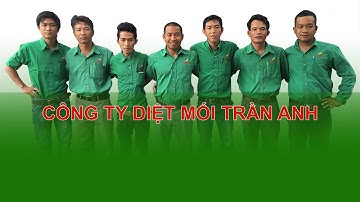 Công Ty Diệt Mối Diệt Côn Trùng Trần Anh