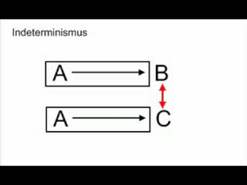 Video: Welche Aussage ist ein Beispiel für reziproken Determinismus?