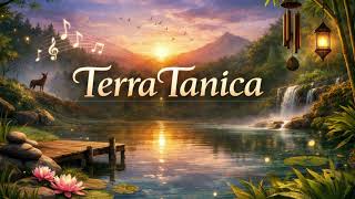 The Quiet Shoreline - TerraTanica
