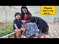 Jerry missing anshu | dog missing his owner | emotional dog video |