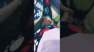 Mi Primer Videomirar Descripcionbellapink