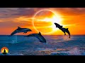 🔴 Relaxing Sleep Music 24/7, Calm Music, Yoga, Sleep Meditation, Spa, Study Music, Sleeping Music