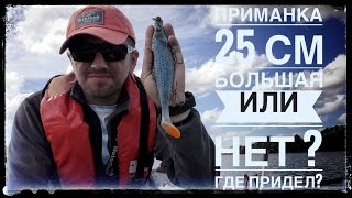 Суперская  рыбалка на КРУПНЫЙ СИЛИКОН XXL. приманка 25см, сделала рыбалку.