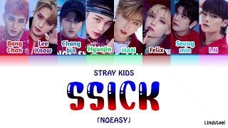 Stray Kids Ssick 씩 Colorcodedlyrics Han-Rom-Eng
