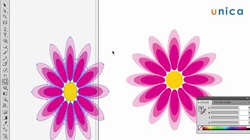 Bài 20: Điều chỉnh kích thước và tỷ lệ của đối tượng | Học illustrator từ căn bản đến nâng cao