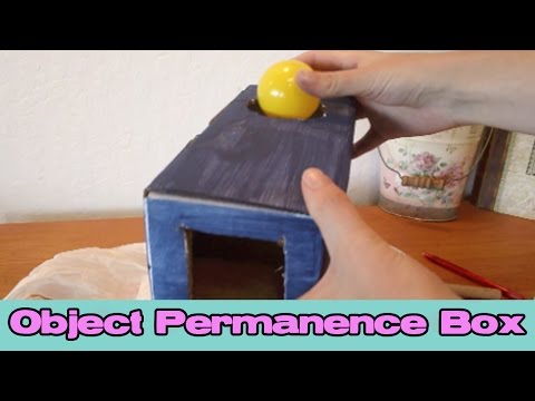 DIY Object Permanence