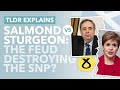 Salmond vs Sturgeon: The Salmond Inquiry and Battle for the SNP Explained - TLDR News