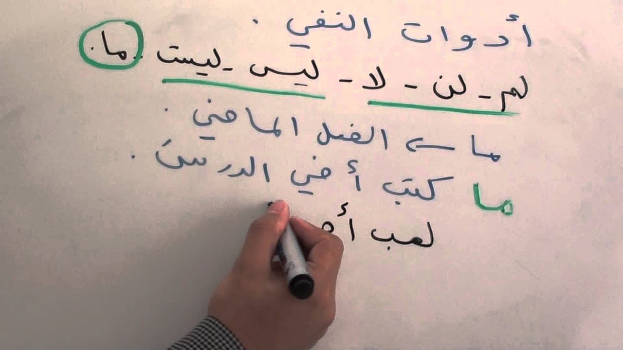 أدوات النفي 3 - YouTube