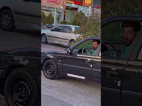 زوزه ی گرگ وحشی 