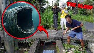 THERE'S A BLOOP IN THE DRAIN IN FRONT OF UPLIN'S HOUSE?!