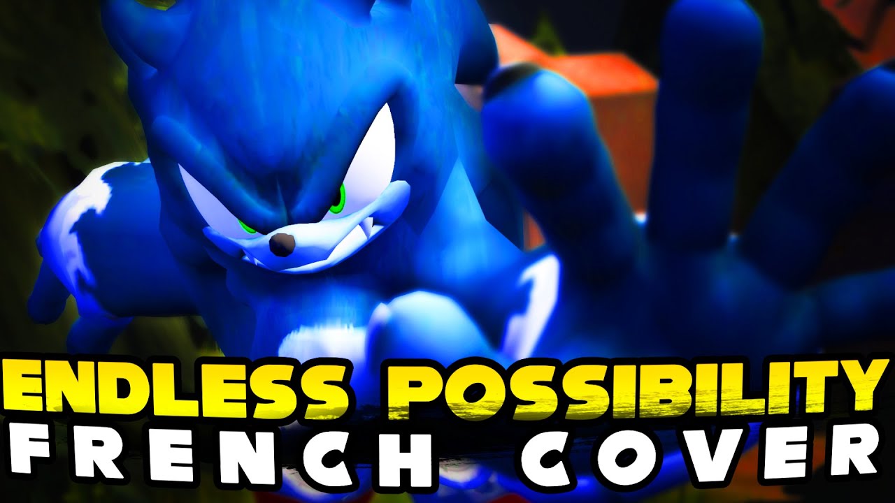Endless Possibility - Sonic Unleashed - French Cover