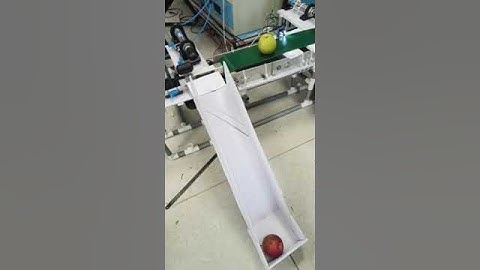 automatic fruit inspection and sorting system ❤️#ai #technology #automation