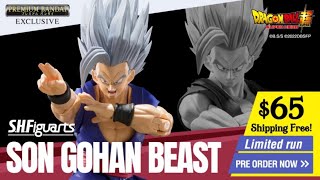 The S.H. Figuarts Beast Gohan Dilemma (I was wrong lol)