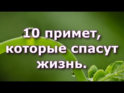 10 примет, которые спасут вам жизнь