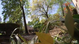 Black Ford F150 Hitting Mailbox