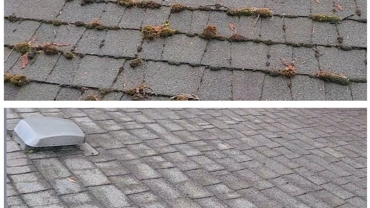 roof demossing YouTube