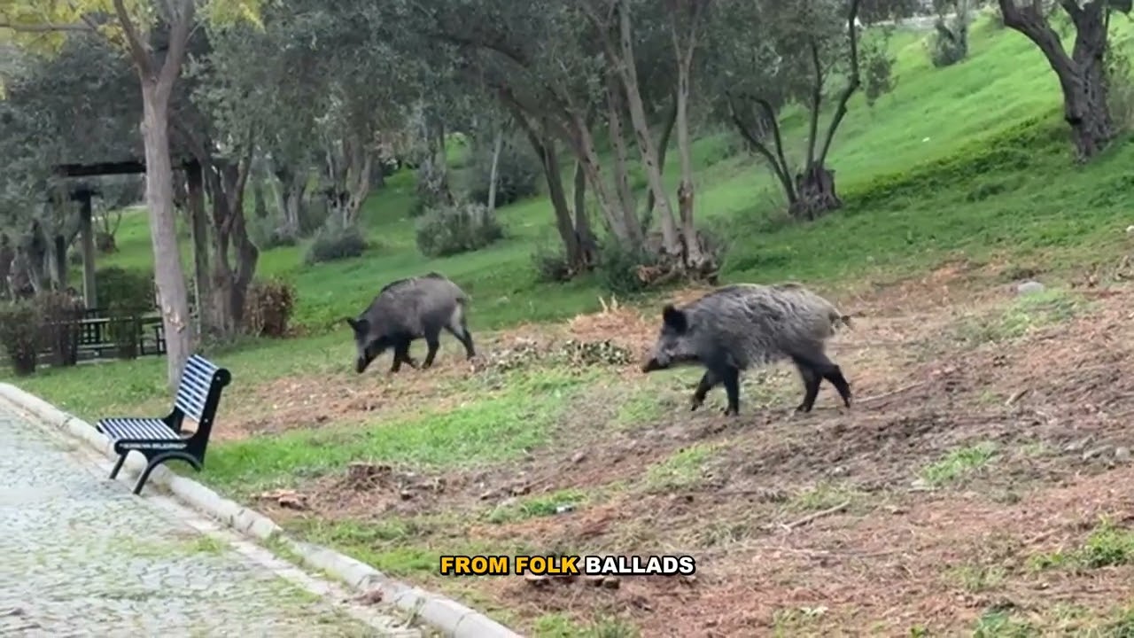 Animals and Trees in Music: Neon Trees' 'Animal' Explained