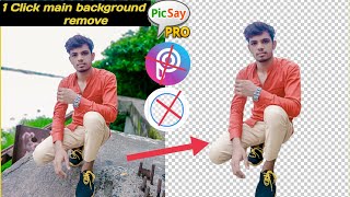 HD Professional photo background remove in Picsay Pro only 1 screenshot 2