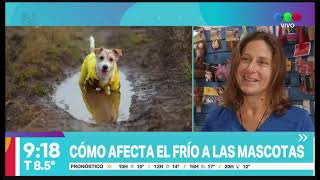 Cómo afecta el frío a las mascotas - Telefe Rosario
