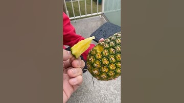 How to actually open a pineapple