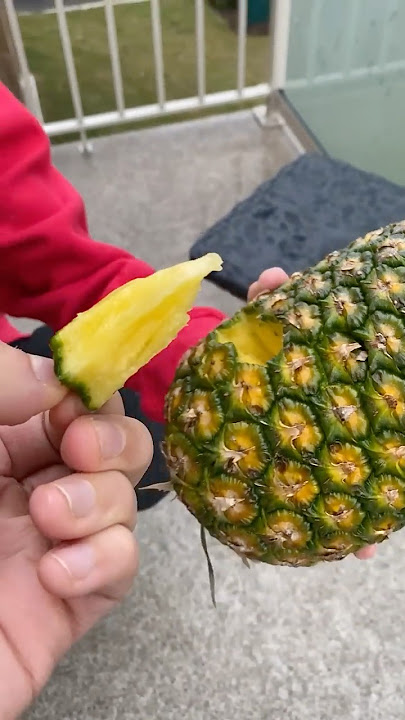 How to actually open a pineapple